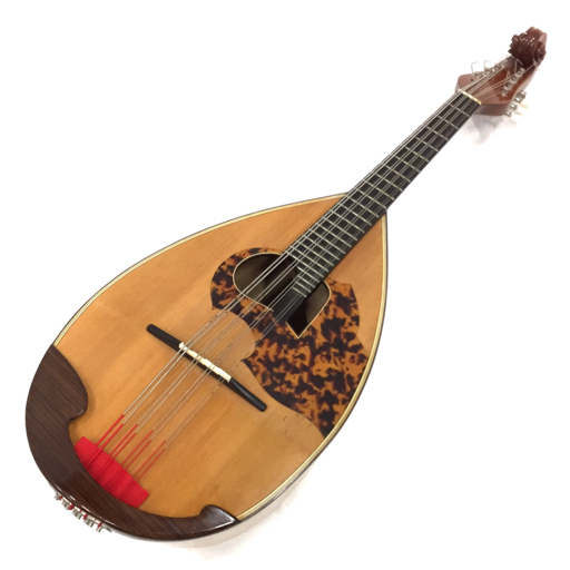 リウテリア野口 野口實 OD2-41 Anno2012 Since1962